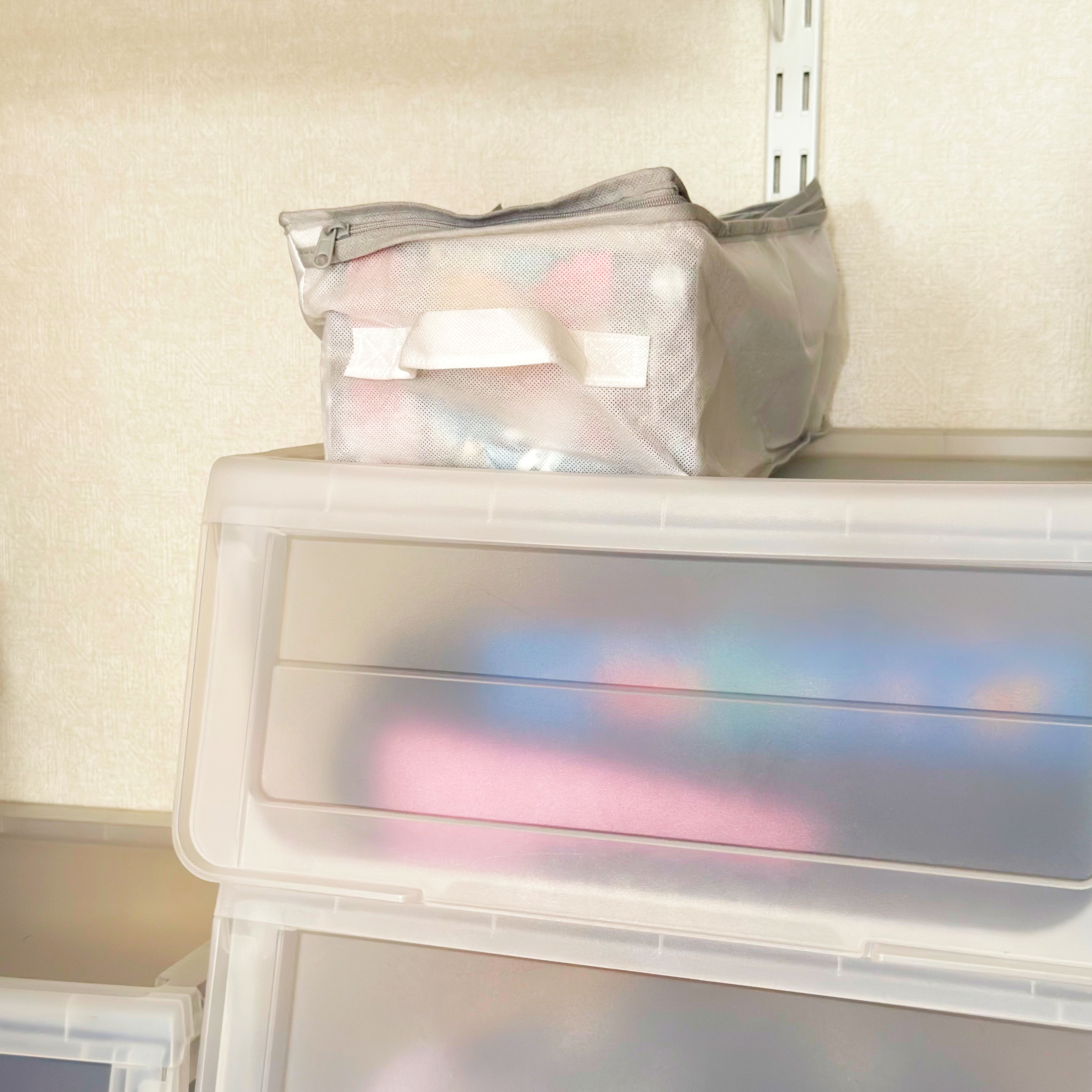 ダイソー「収納袋(コミック用)」