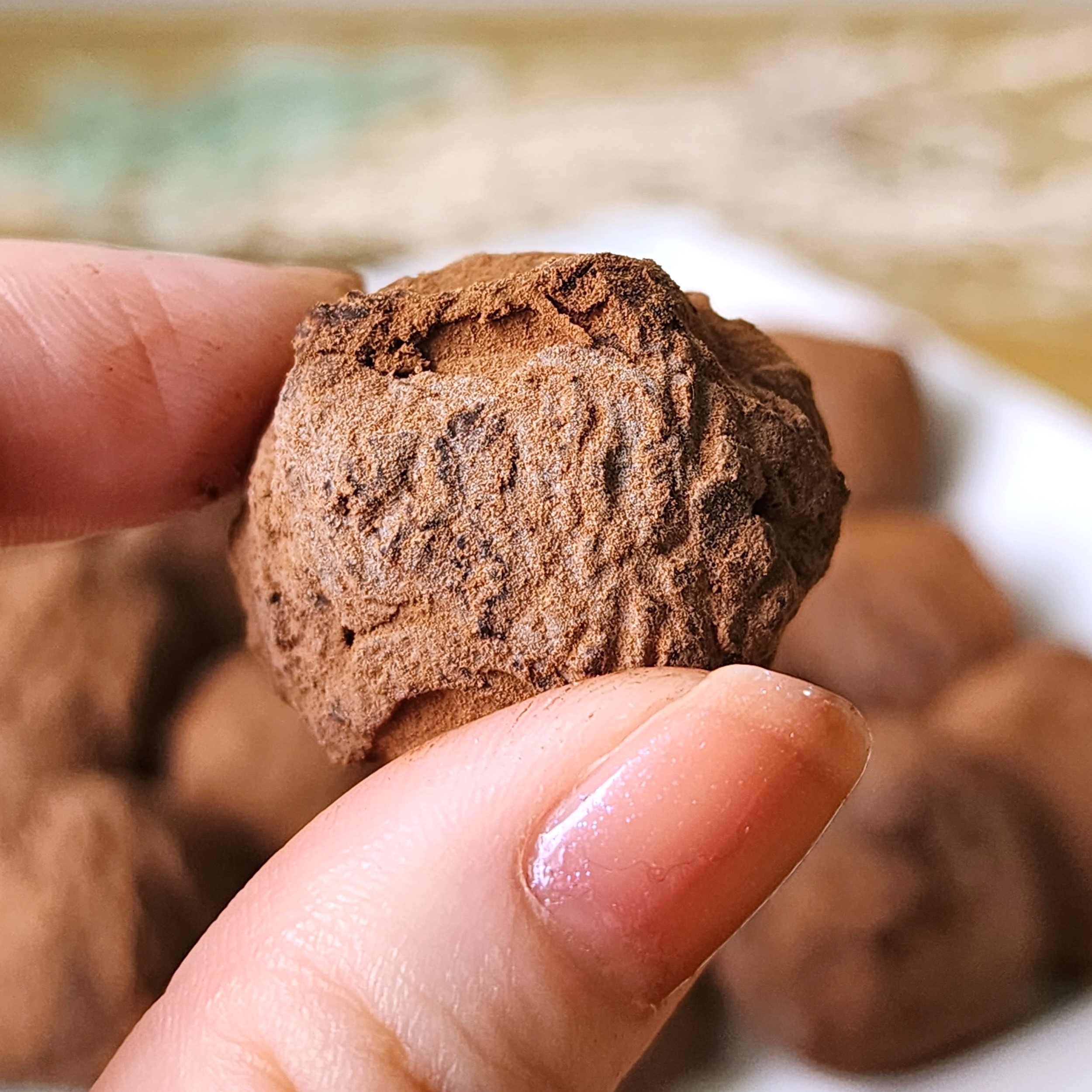 指でつままれたココアパウダーがまぶされたチョコトリュフのクローズアップ。背景に他のトリュフも見える。