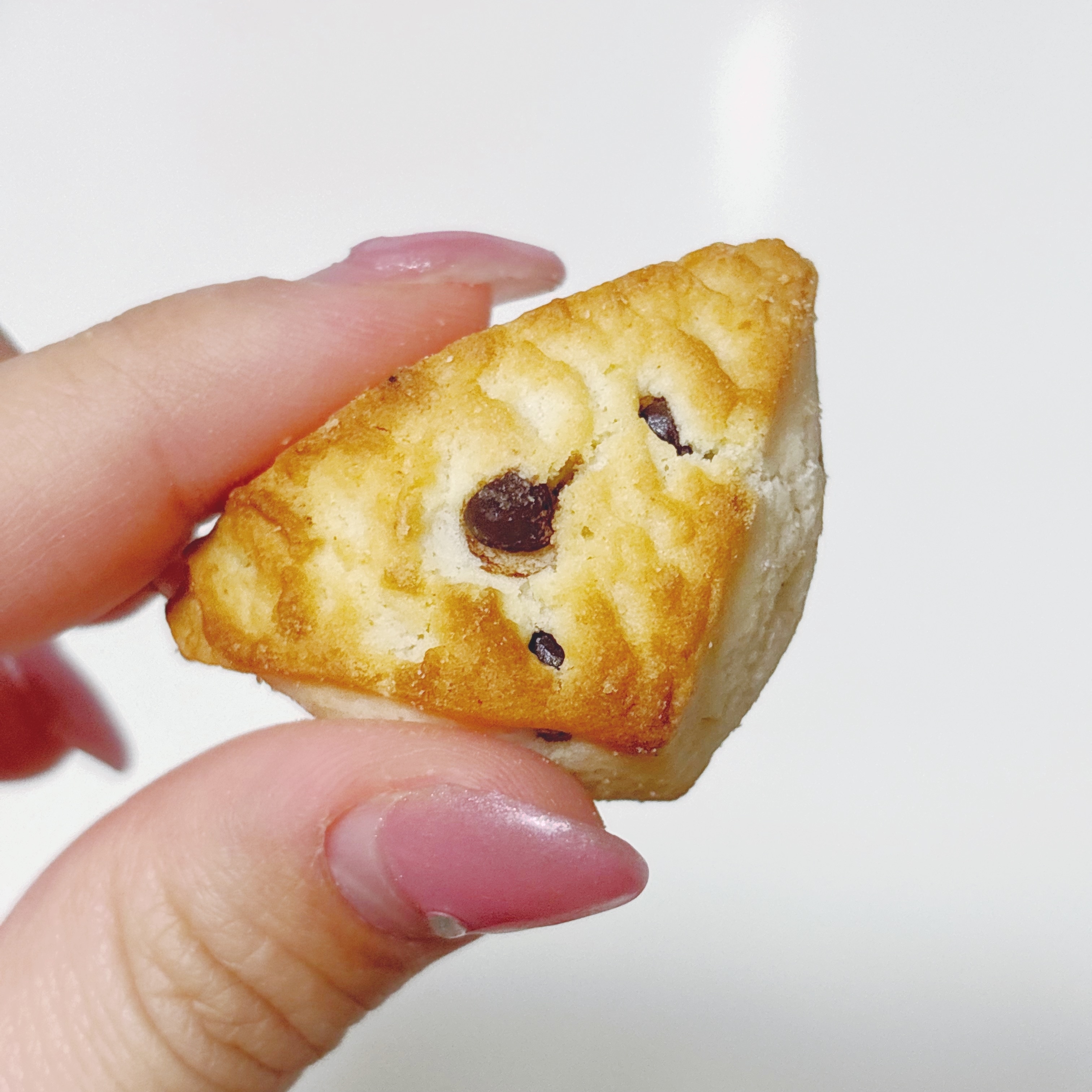 手で持たれたチョコチップクッキーの一片。