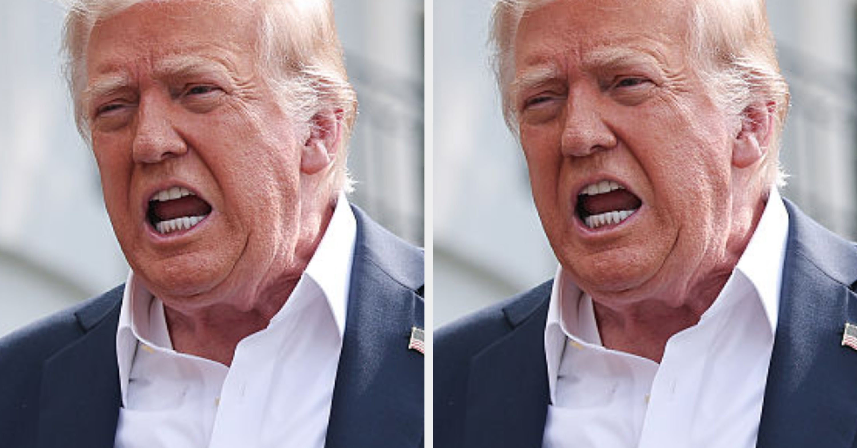 A Former White House Aide To Trump Reveals Why He Is "Panicking Right Now"