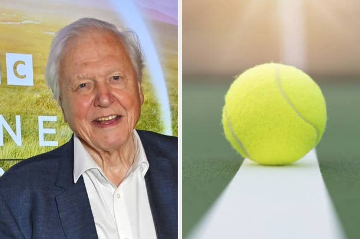 It Turns Out David Attenborough Is The Reason Tennis Balls Are Yellow, And Now I'm Questioning Everything