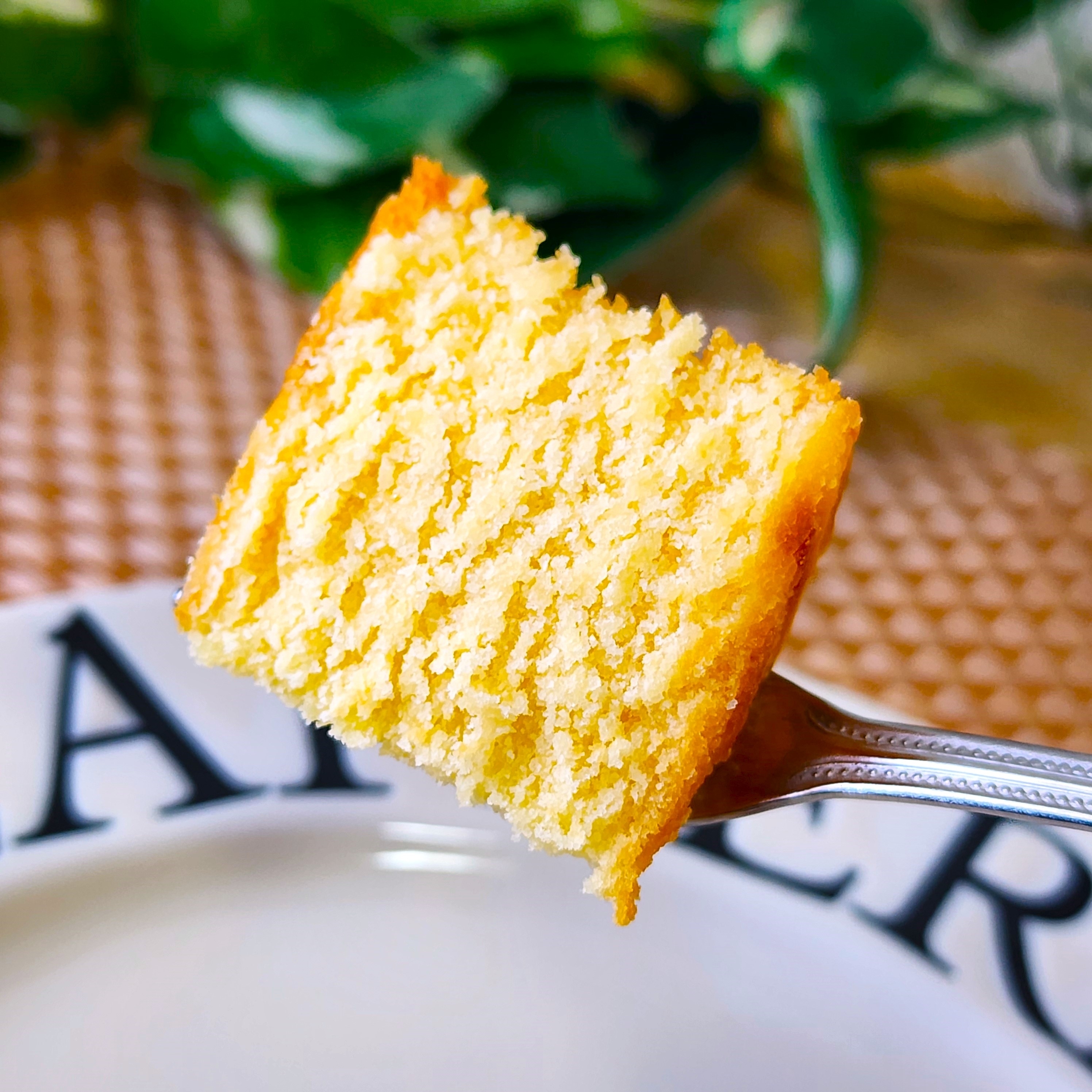 フォークに刺さった一切れのケーキ。背景には緑の植物が見える。ケーキはふわふわでおいしそう。