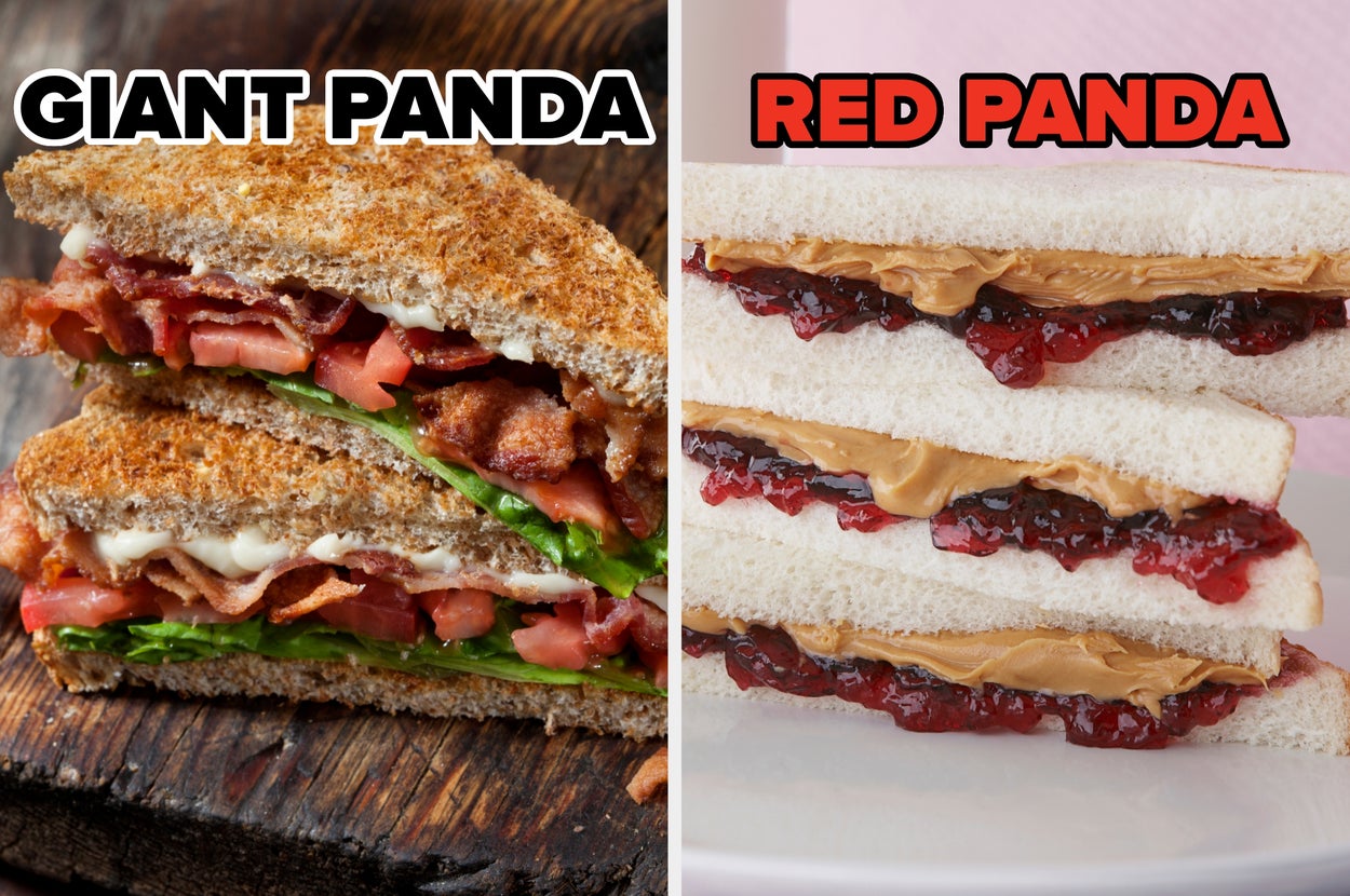 On the left, a BLT labeled giant panda, and on the right, a peanut butter and jelly sandwich labeled red panda