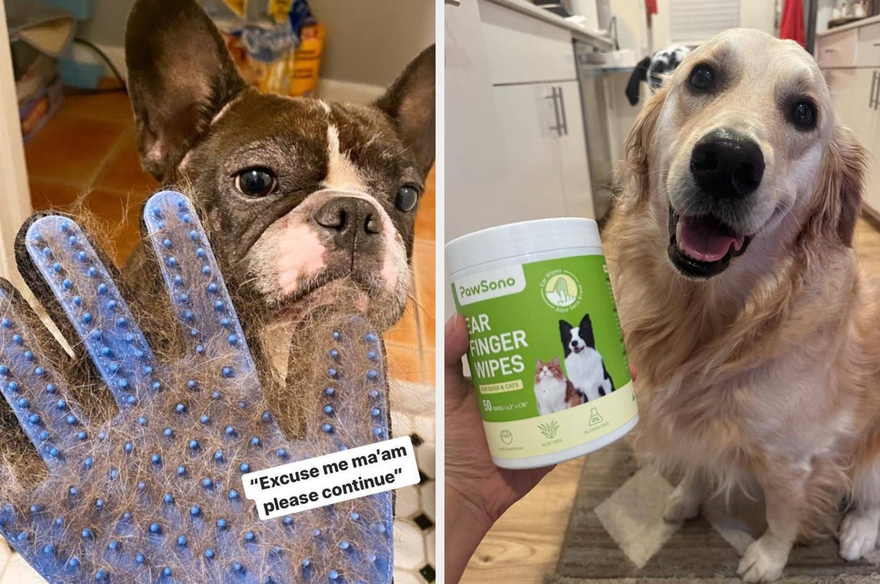 Dog grooming tools: A Boston Terrier looks at a fur-covered grooming glove, and a Golden Retriever sits beside PawSono ear cleaner wipes