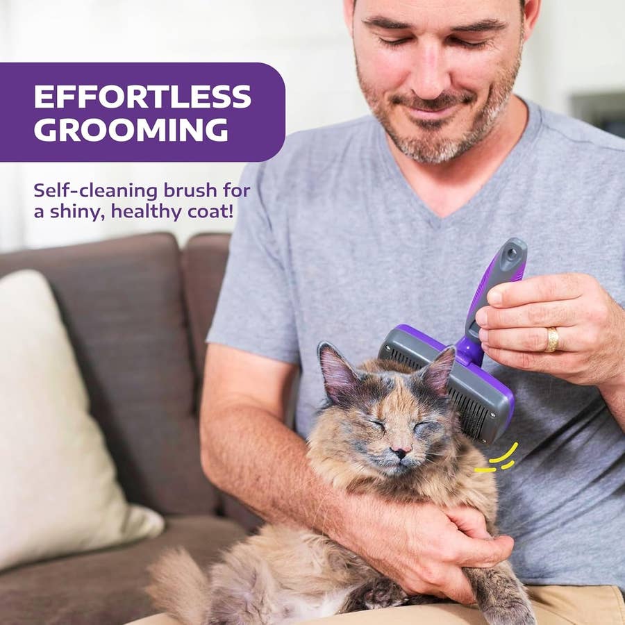 What to Use When Cat Can No Longer Groom Themselves: Essential Tips