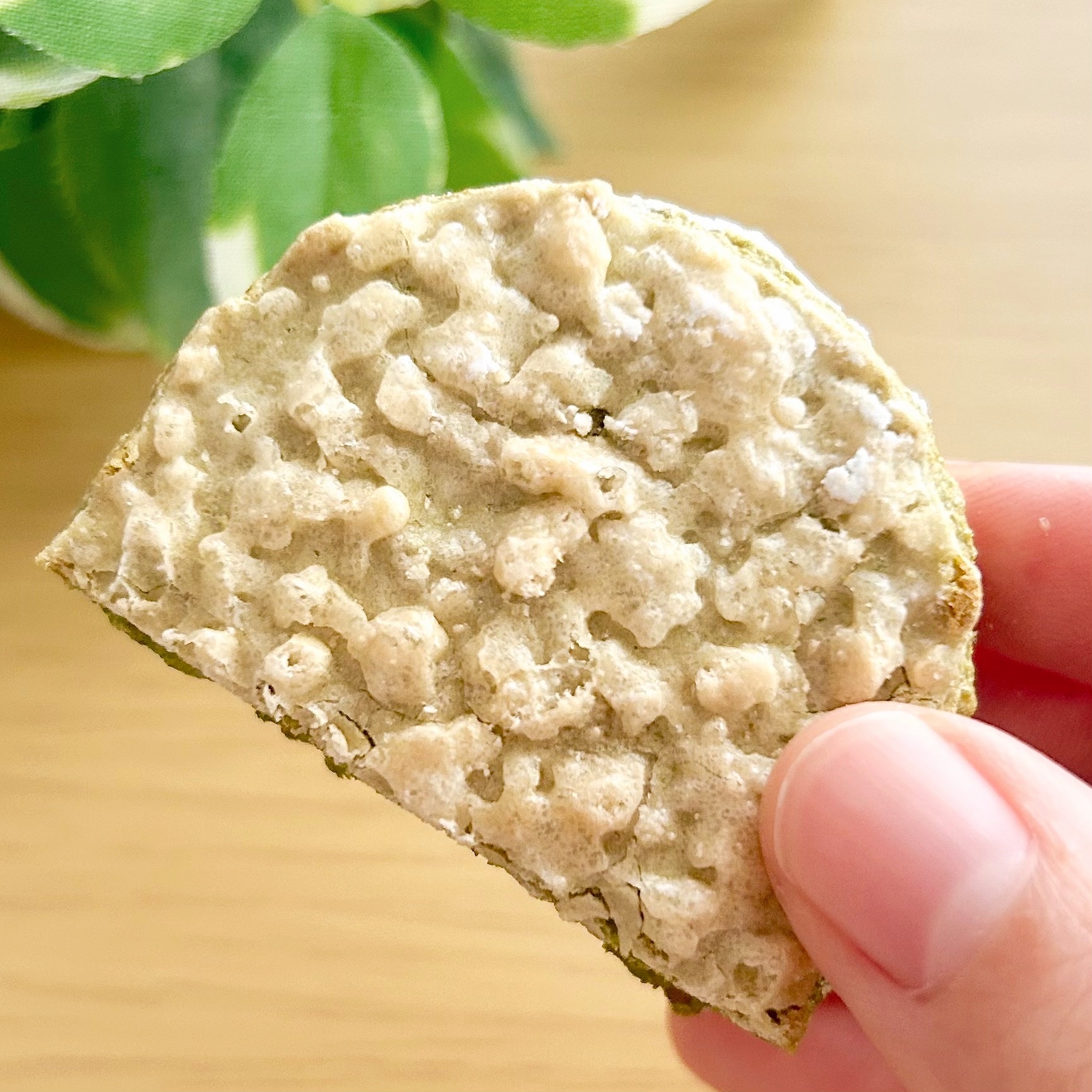 シャトレーゼの「ダックワーズ 宇治抹茶」