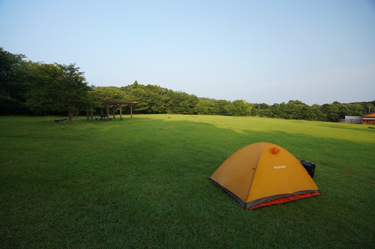 芝生の上にテントが立っているキャンプ場の風景。背景には緑の木々があります。