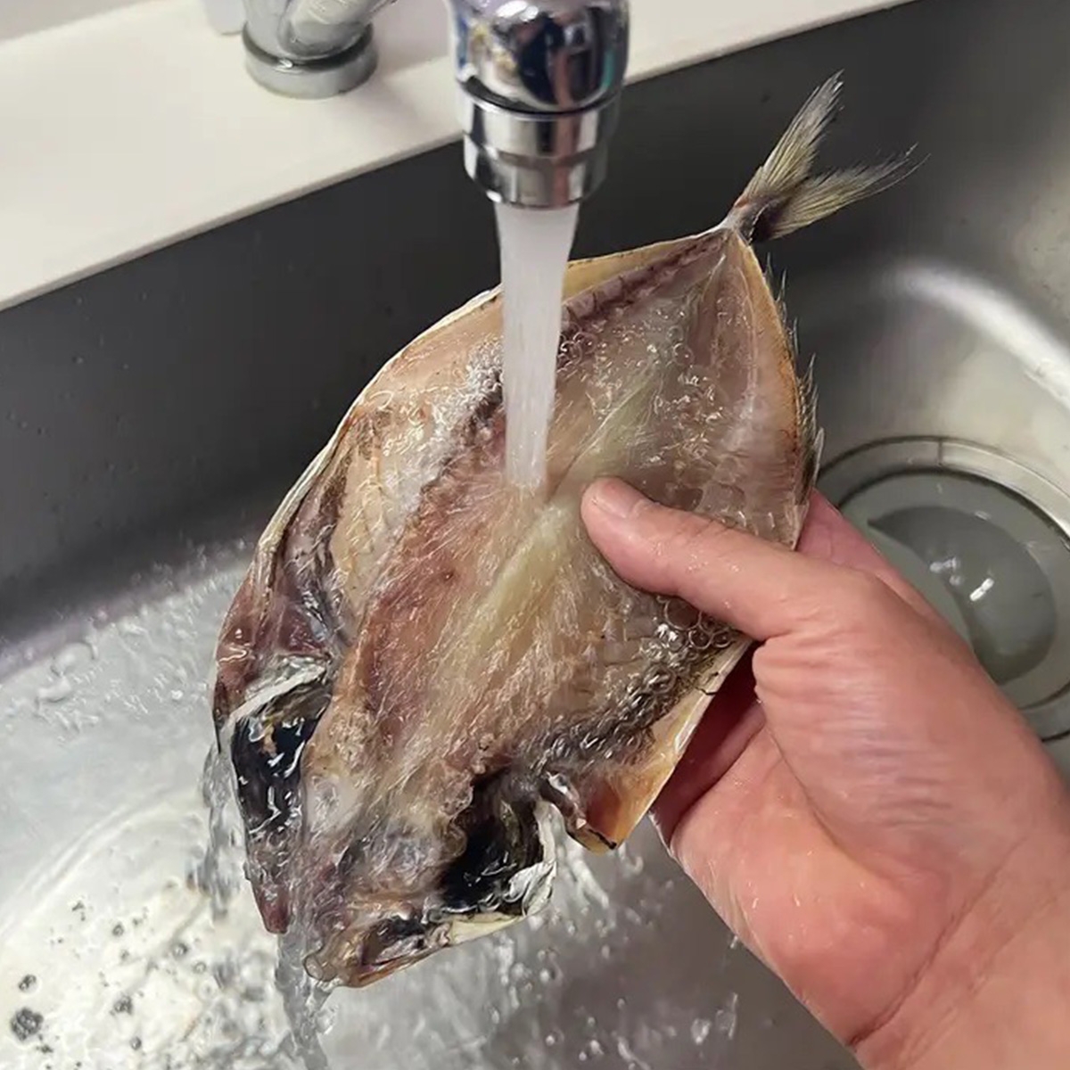 シンクで魚が洗われている様子。手に持たれた開かれた魚に水が当たっている。