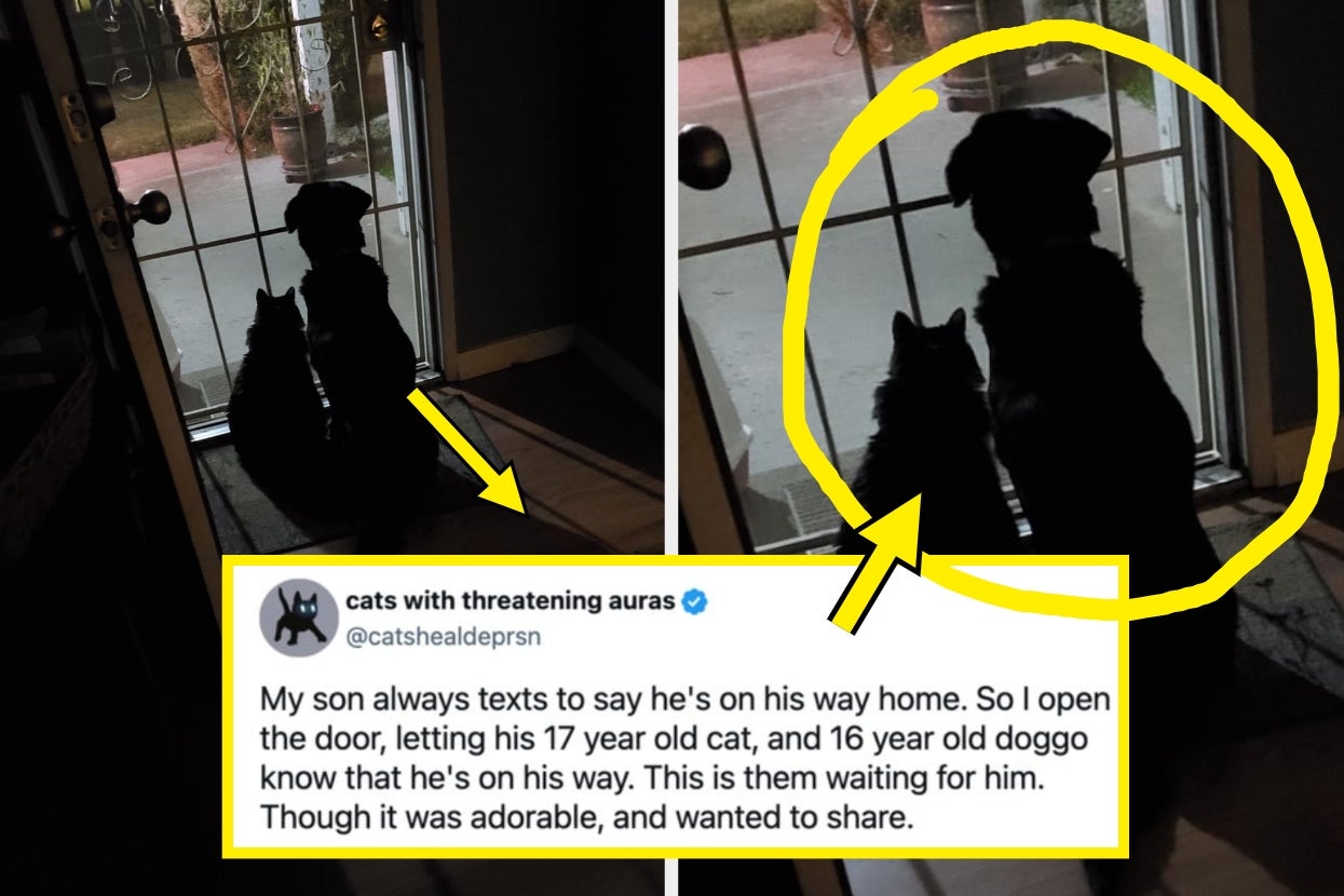 People Are Sharing Some Of The Cutest, Most Wholesome Posts I've Ever Seen Online This Week, So Here Are 20 Of The Best