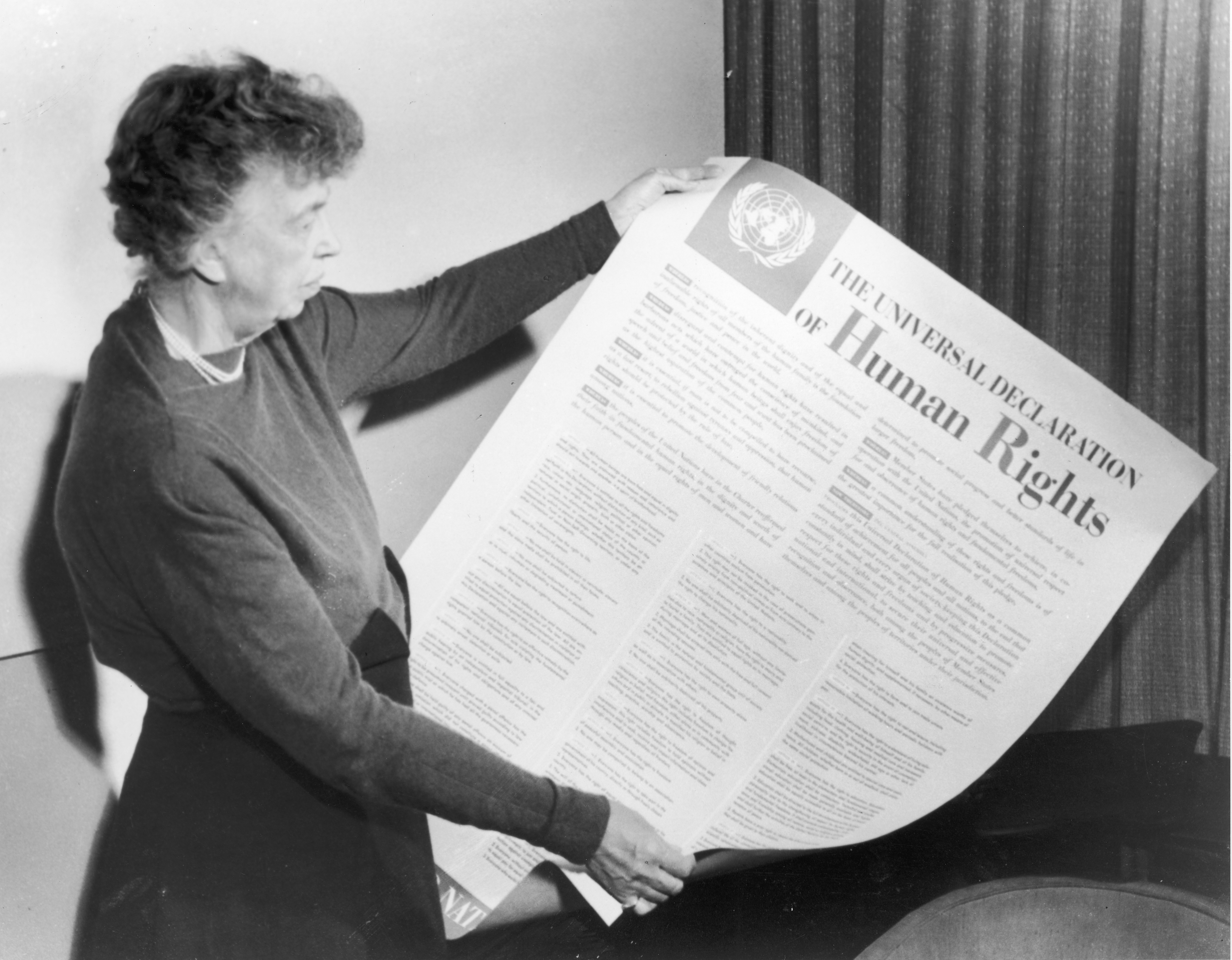 Person holding a large document titled &quot;The Universal Declaration of Human Rights,&quot; looking at its detailed text