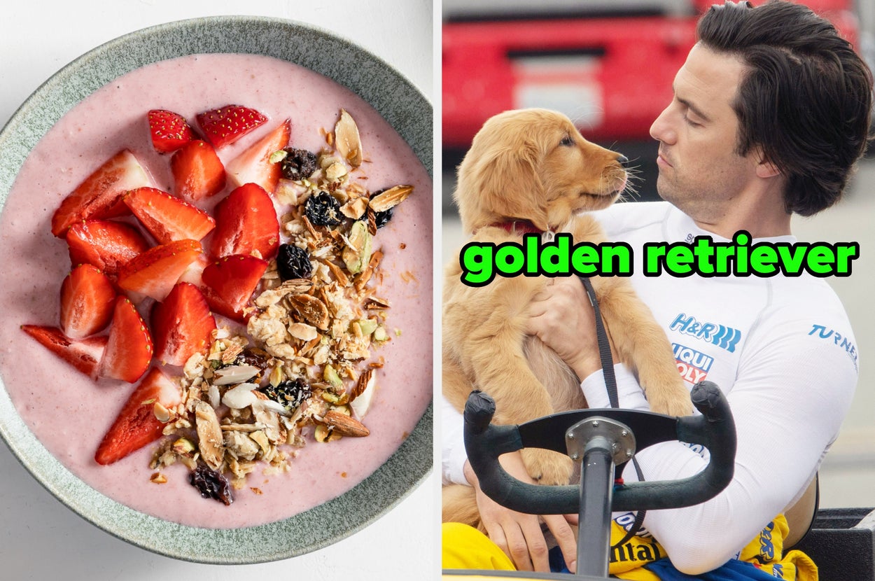 On the left, a strawberry smoothie bowl topped with strawberries and granola, and on the right, Milo Ventimiglia holding a golden retriever puppy as Denny in The Art of Racing in the Rain