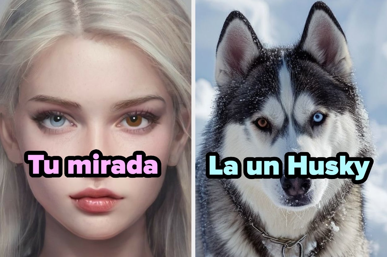 Montaje comparando los ojos de una persona y los de un husky, ambos con heterocromía. Texto: "Tu mirada" y "La un Husky"