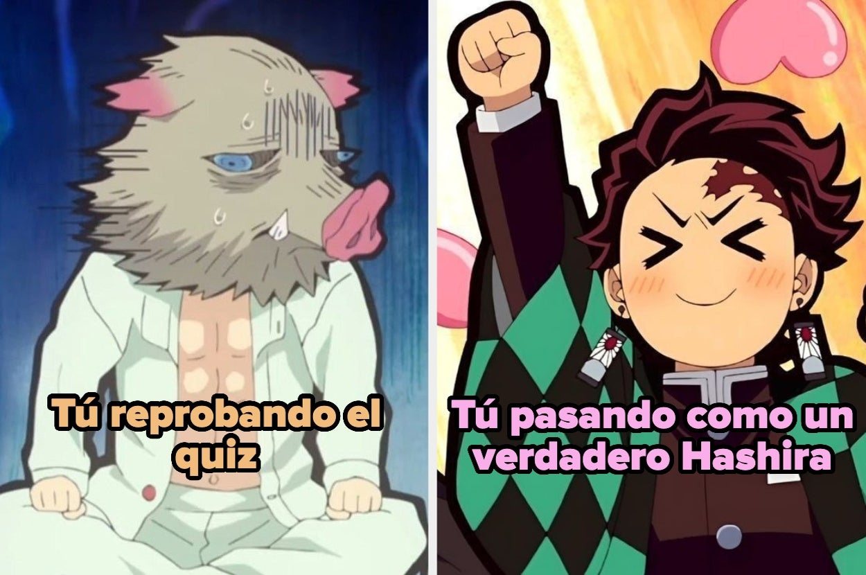 Meme de dos personajes de anime: uno deprimido representa "tú reprobando el quiz"; el otro feliz y levantando el puño es "tú pasando como un verdadero Hashira"