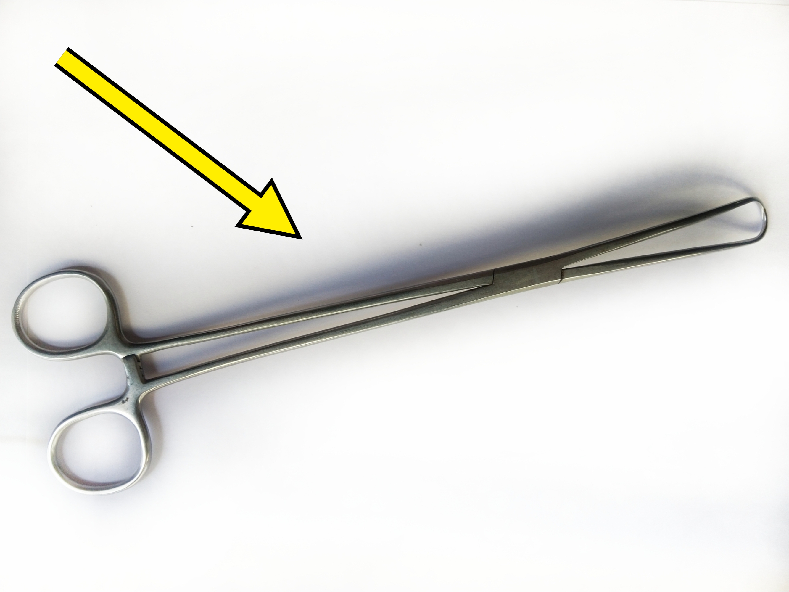 Et par rustfritt stål kirurgiske tang med loopede håndtak, liggende flatt på hvit bakgrunn