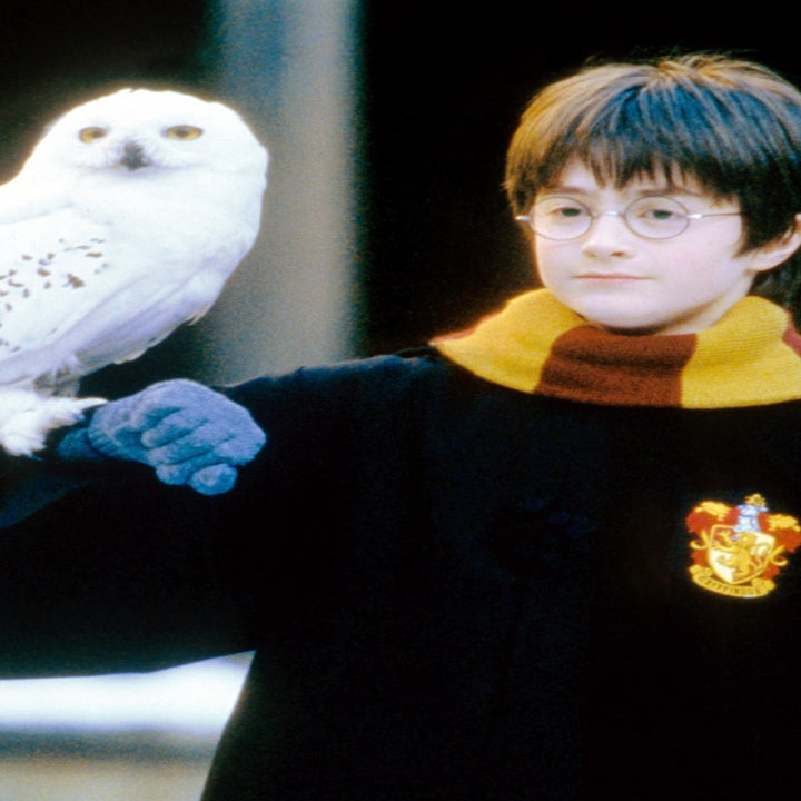 A young character in wizard robes and glasses holds a snowy owl, wearing a scarf with a crest