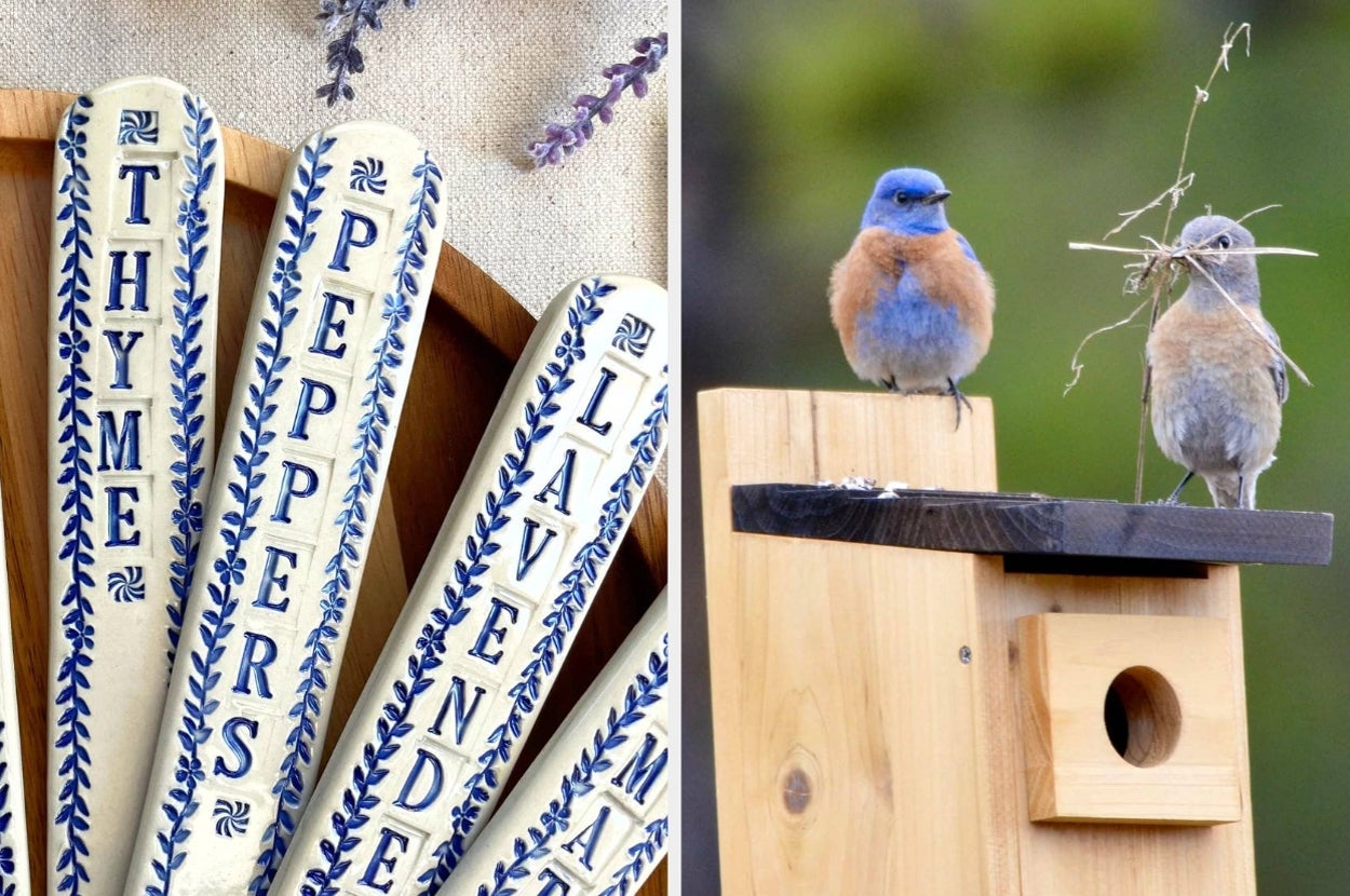 Herb garden markers for thyme, peppers, lavender, and mint; bluebirds on a wooden birdhouse