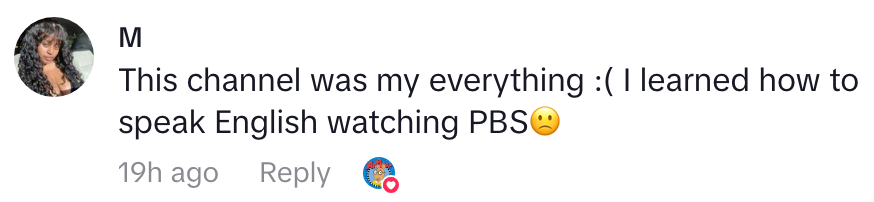 Comment expressing gratitude for PBS teaching English, accompanied by a sad face emoji