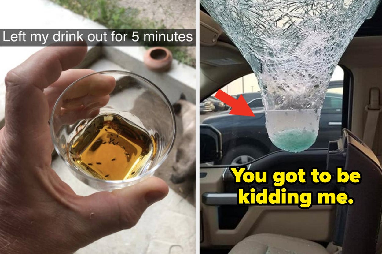 On the left, a hand holds a drink with bugs in it. On the right, a cup hangs from a car ceiling, filled with a frozen drink. Text: "You got to be kidding me."