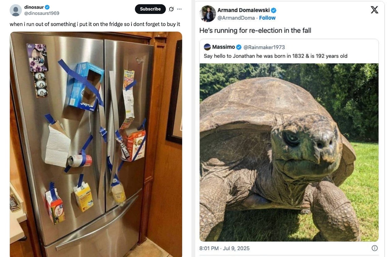 Photo of a fridge with empty boxes hanging and a tweet about a 192-year-old tortoise named Jonathan "running for re-election in the fall."