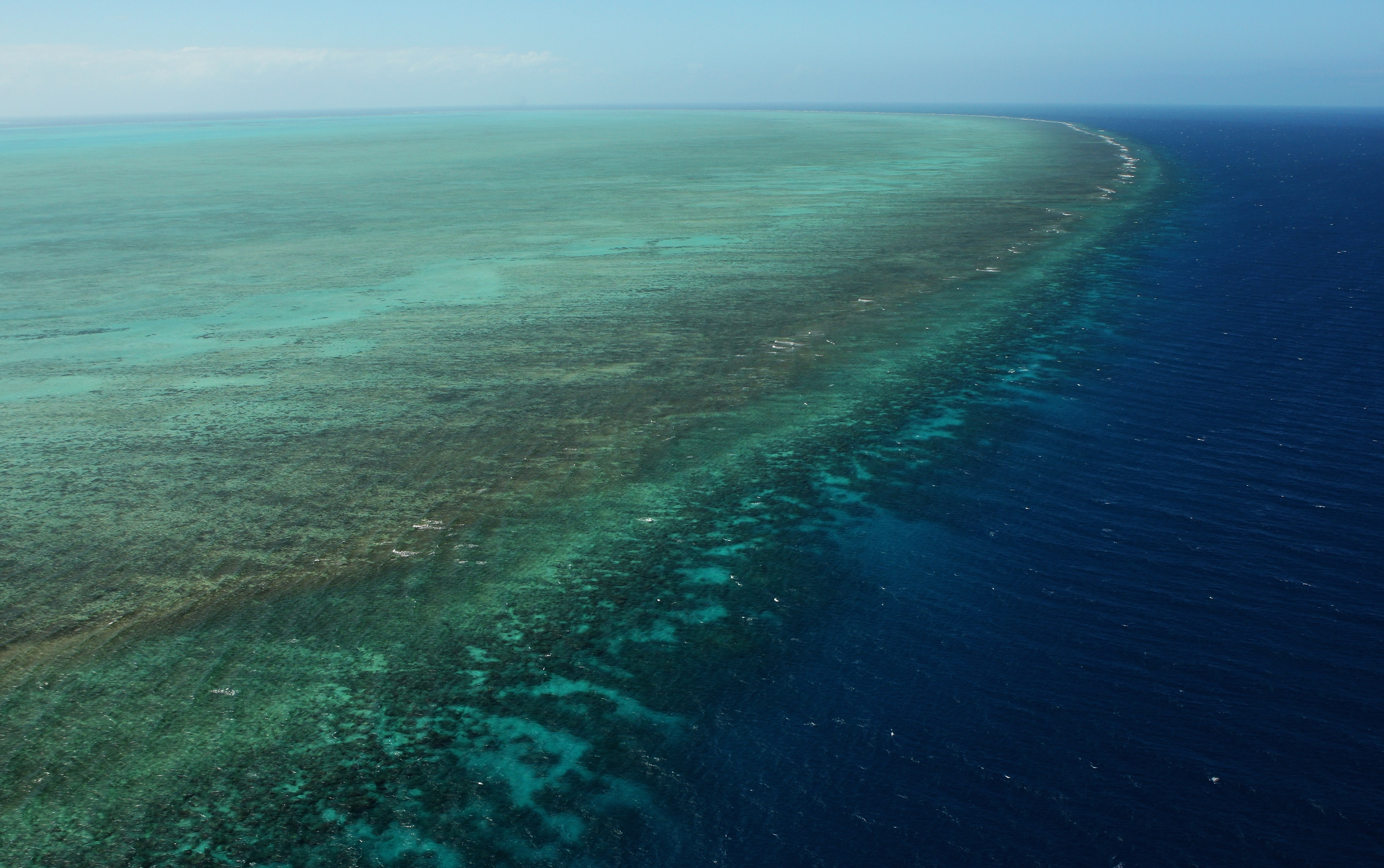 Aerial view of the Great Barrier Reef, showing vibrant coral formations merging into deep ocean waters