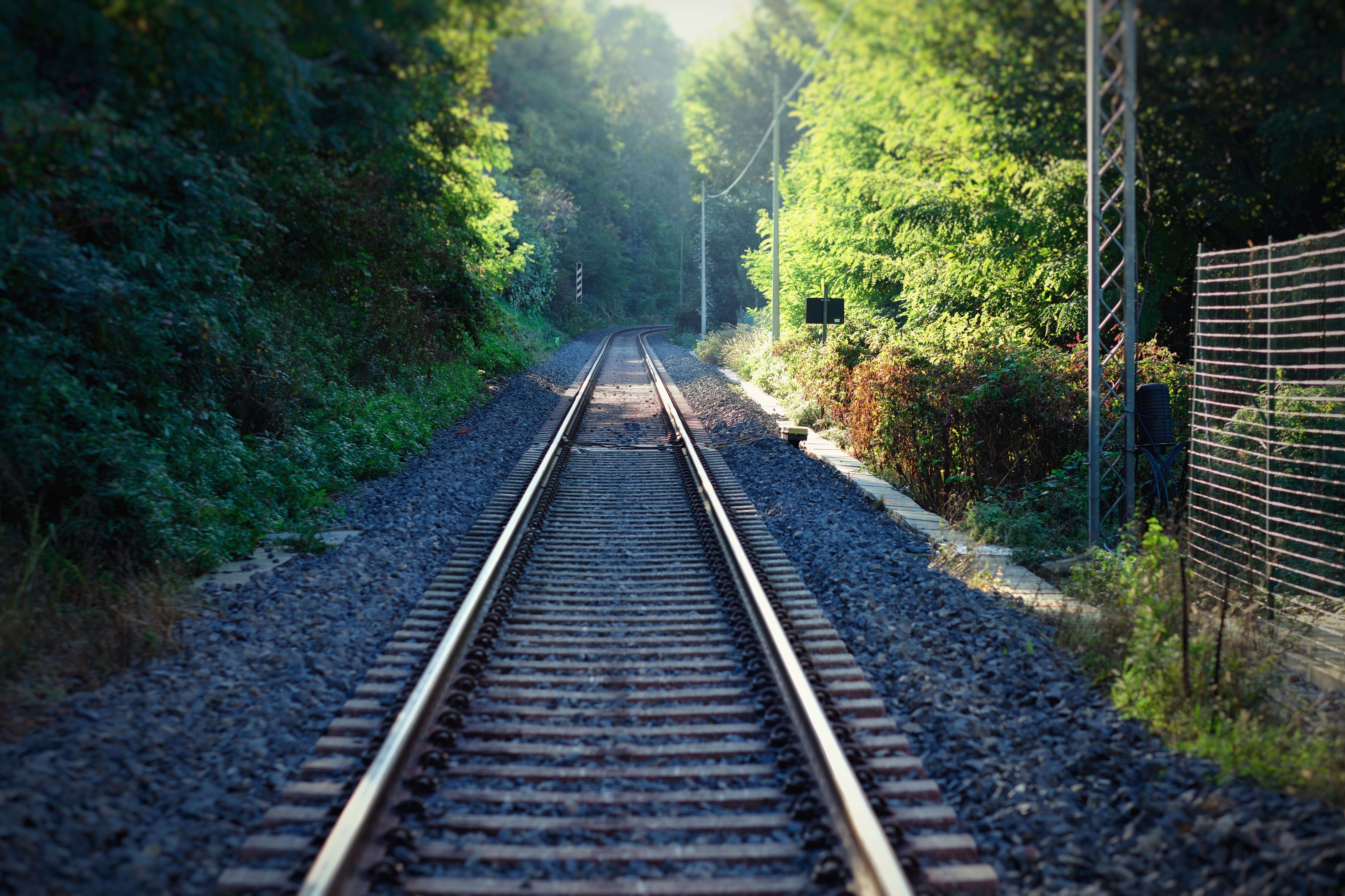 Railroad tracks stretch into the distance, bordered by trees and bushes under a clear sky, creating a serene and peaceful atmosphere