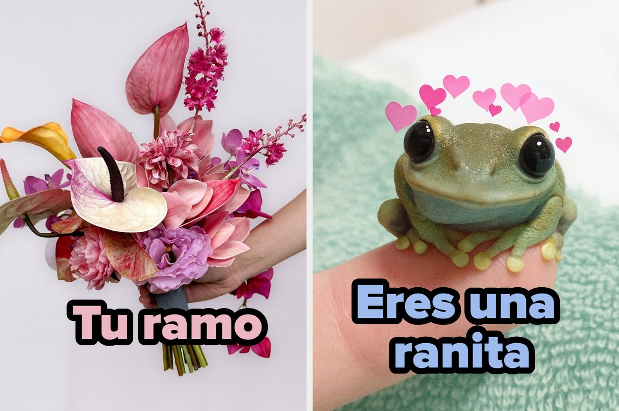 A la izquierda, ramo de flores variadas. A la derecha, ilustración de una rana con corona y accesorios brillantes