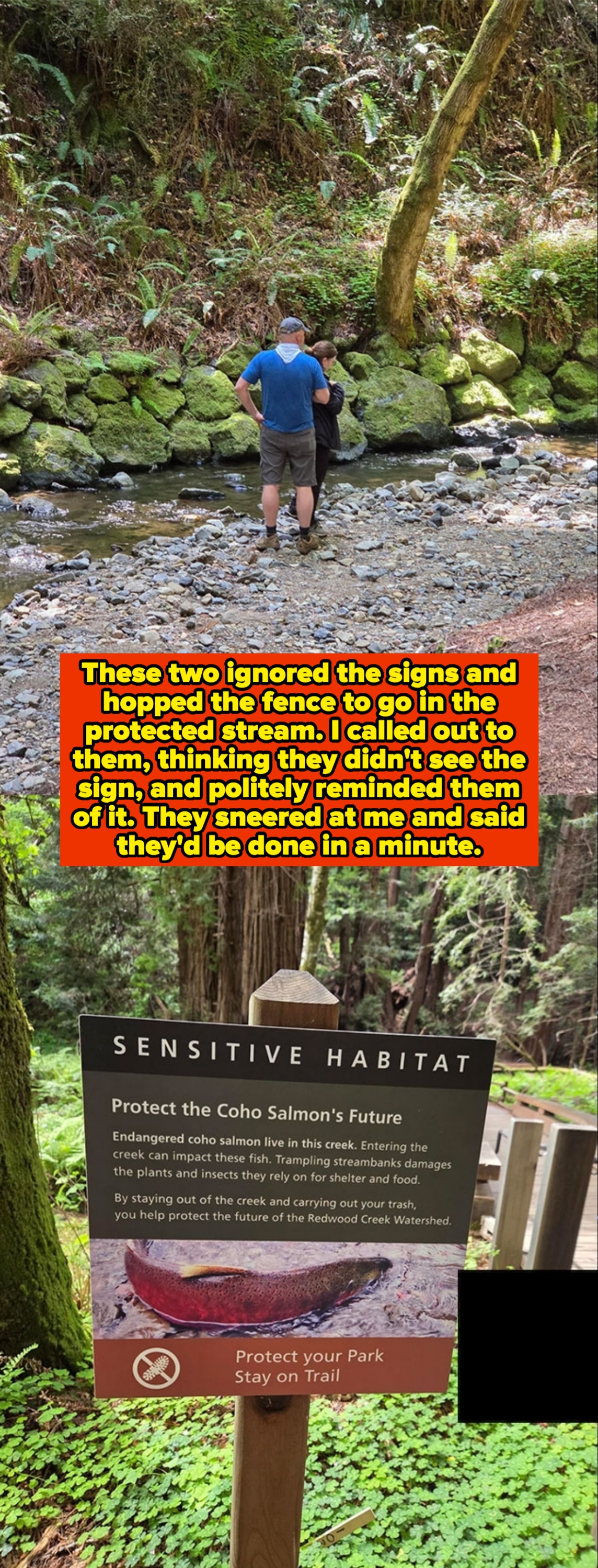 A couple stands by a creek in a forest near a sign about protecting Coho salmon by staying on the trail in a sensitive habitat area. Caption notes they ignored the sign and hopped a fence