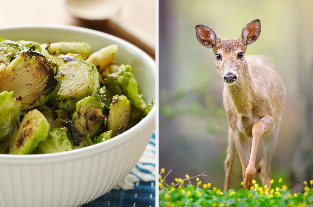 Bowl of roasted Brussels sprouts next to a young deer walking through greenery