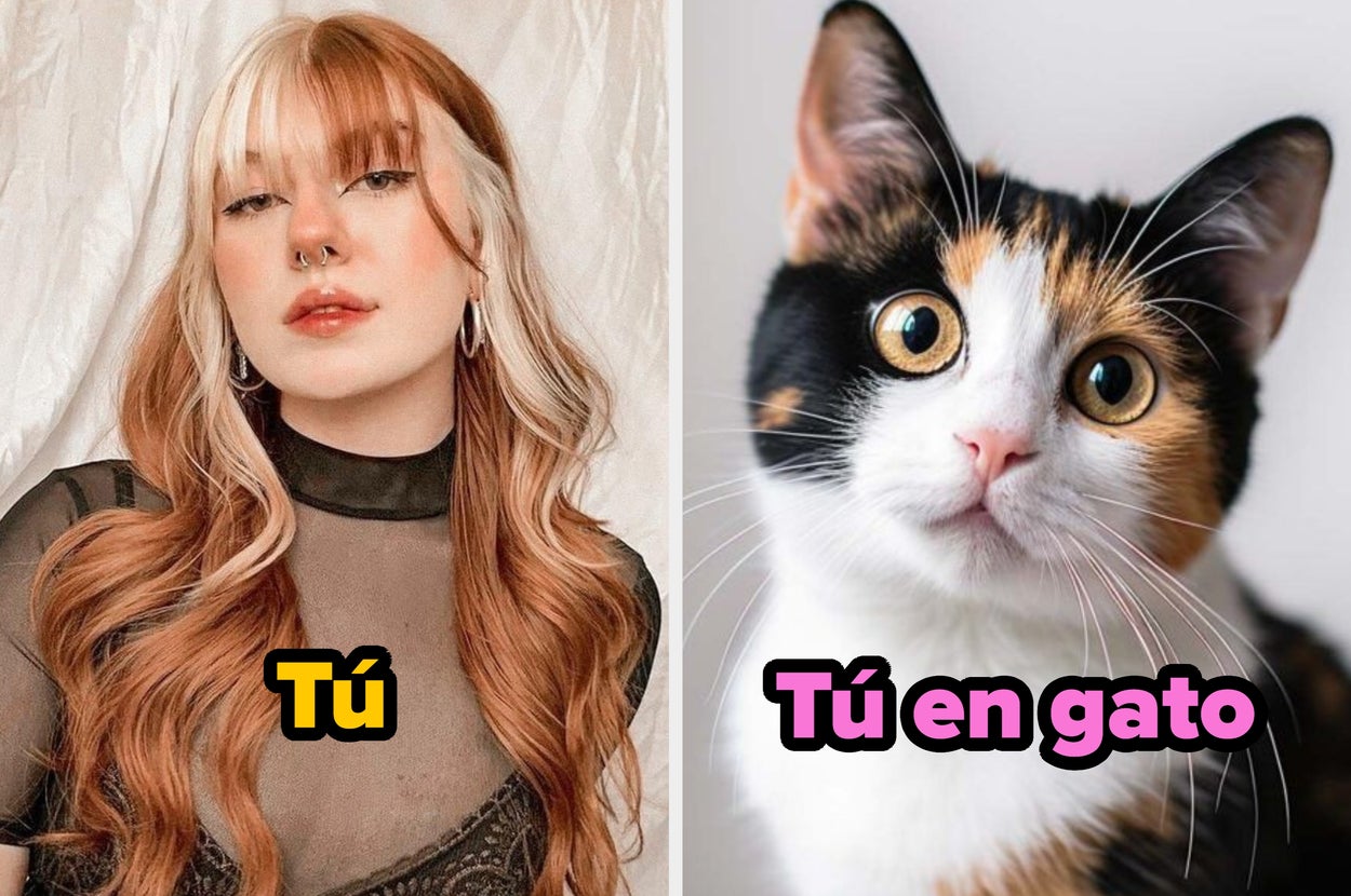 Persona con cabello largo, rubio y rojo, junto a un gato con pelaje tricolor. Ambos tienen expresiones similares. Texto: "Tú"