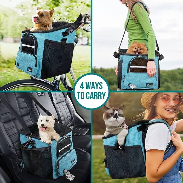 connected a bike, with human, successful car, arsenic a backpack. Text reads "4 Ways to Carry."