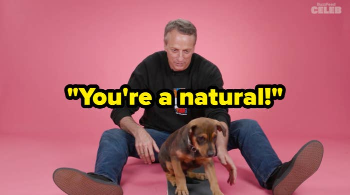 A person sits on the floor with legs outstretched, lovingly guiding a small dog on a skateboard against a plain background