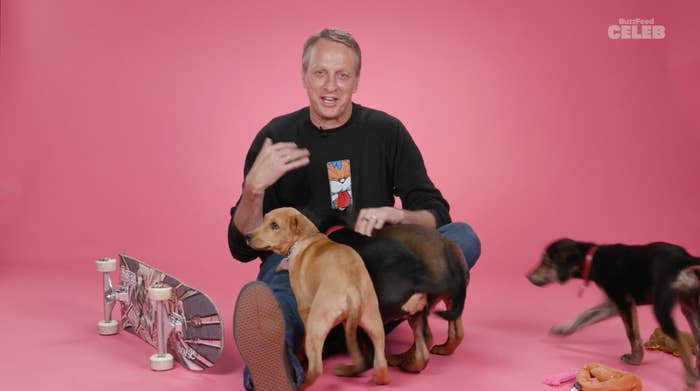 A person sitting on the floor with puppies, alongside a skateboard. The person is casually dressed and smiling in a playful setting