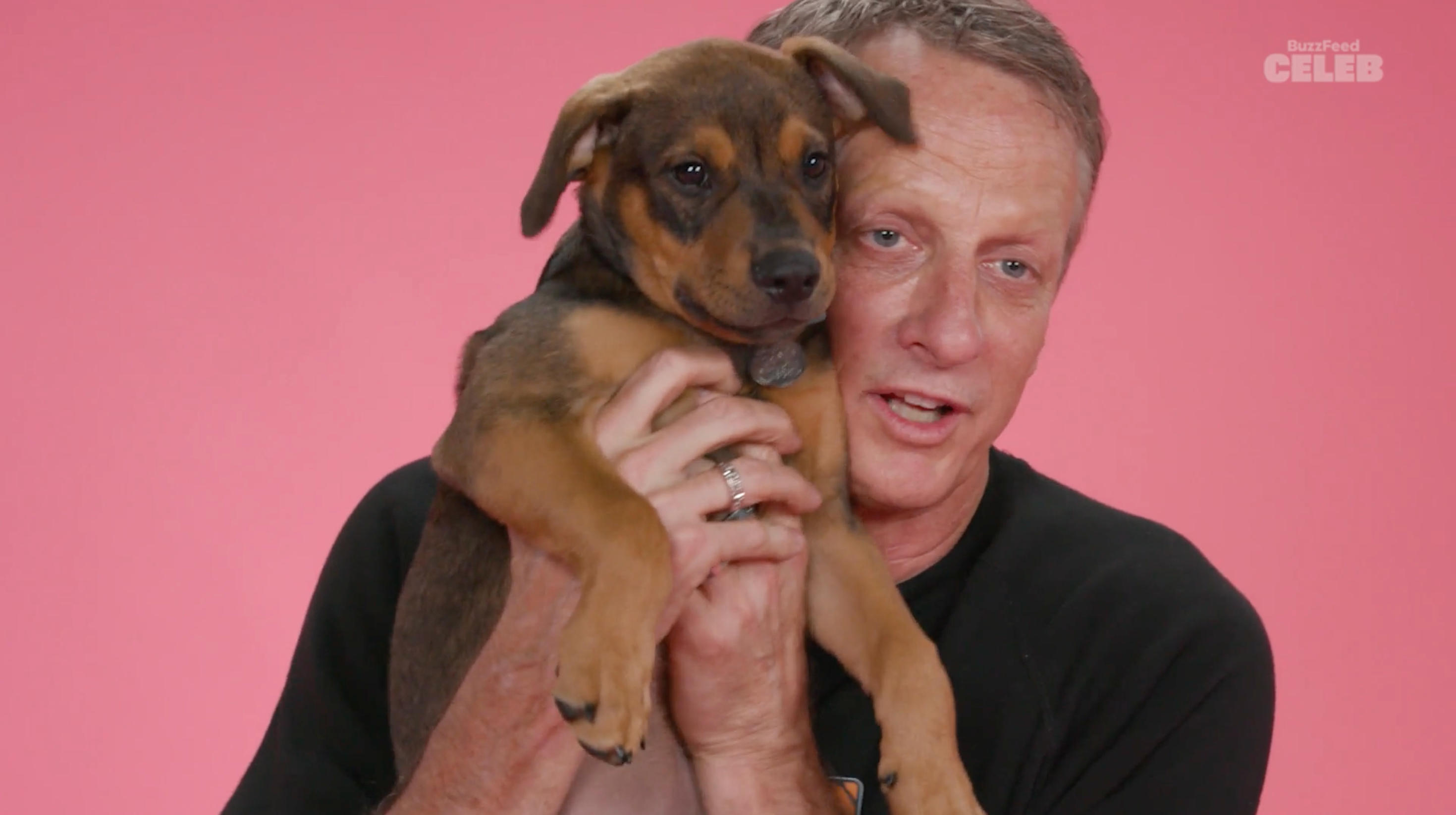 Person holding a puppy against a pink background, smiling closely with the dog