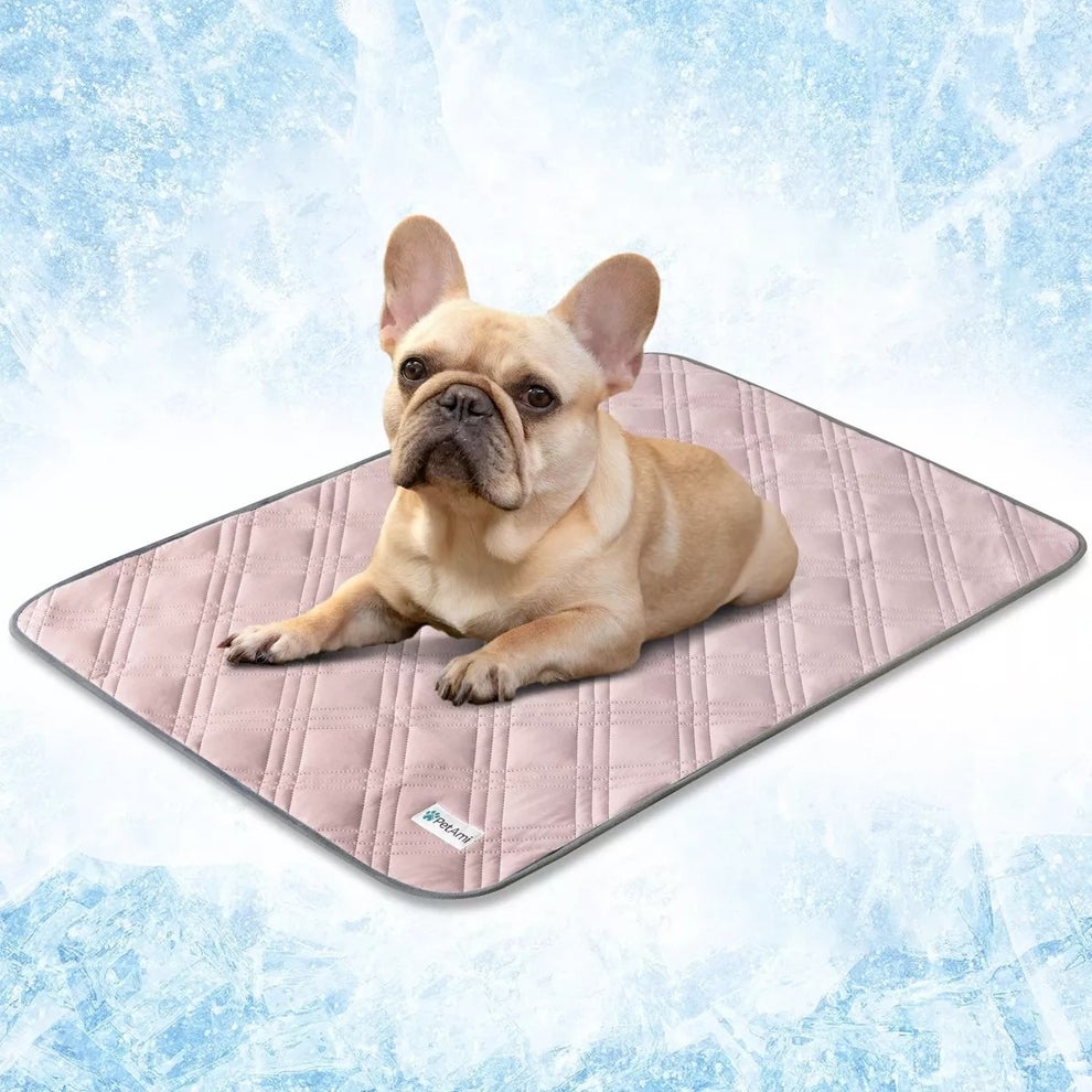 A French Bulldog relaxes on a quilted cooling mat, suitable for pets