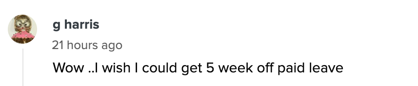 Comment saying, &quot;Wow, I wish I could get 5 weeks off paid leave,&quot; by g harris