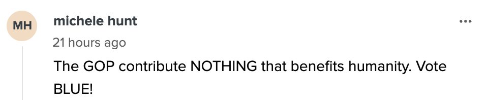 Comment expressing disapproval of the GOP and support for voting blue