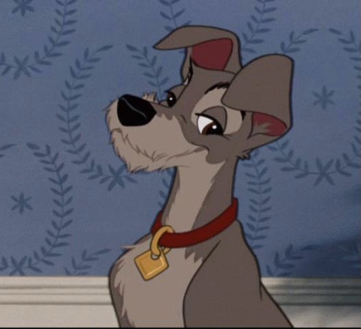 Perro animado con collar rojo y placa dorada, de una película clásica. Tiene expresión amigable. Fondo de papel tapiz con diseño floral