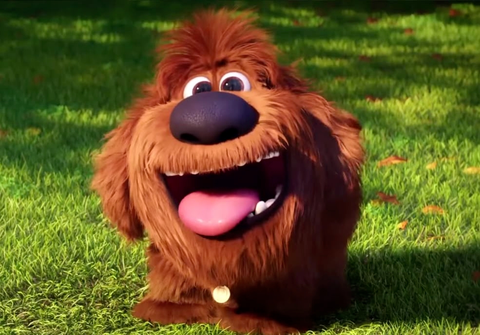 Perro animado peludo con collar sonríe ampliamente mostrando la lengua sobre césped