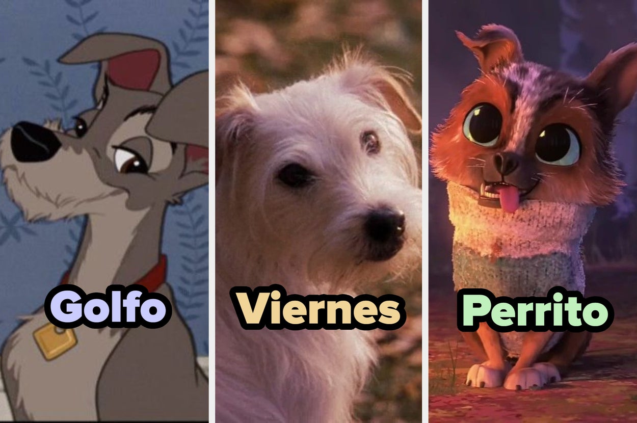 Tres perros de películas famosas: un perro animado, un perro real y un personaje animado con grandes ojos y suéter colorido