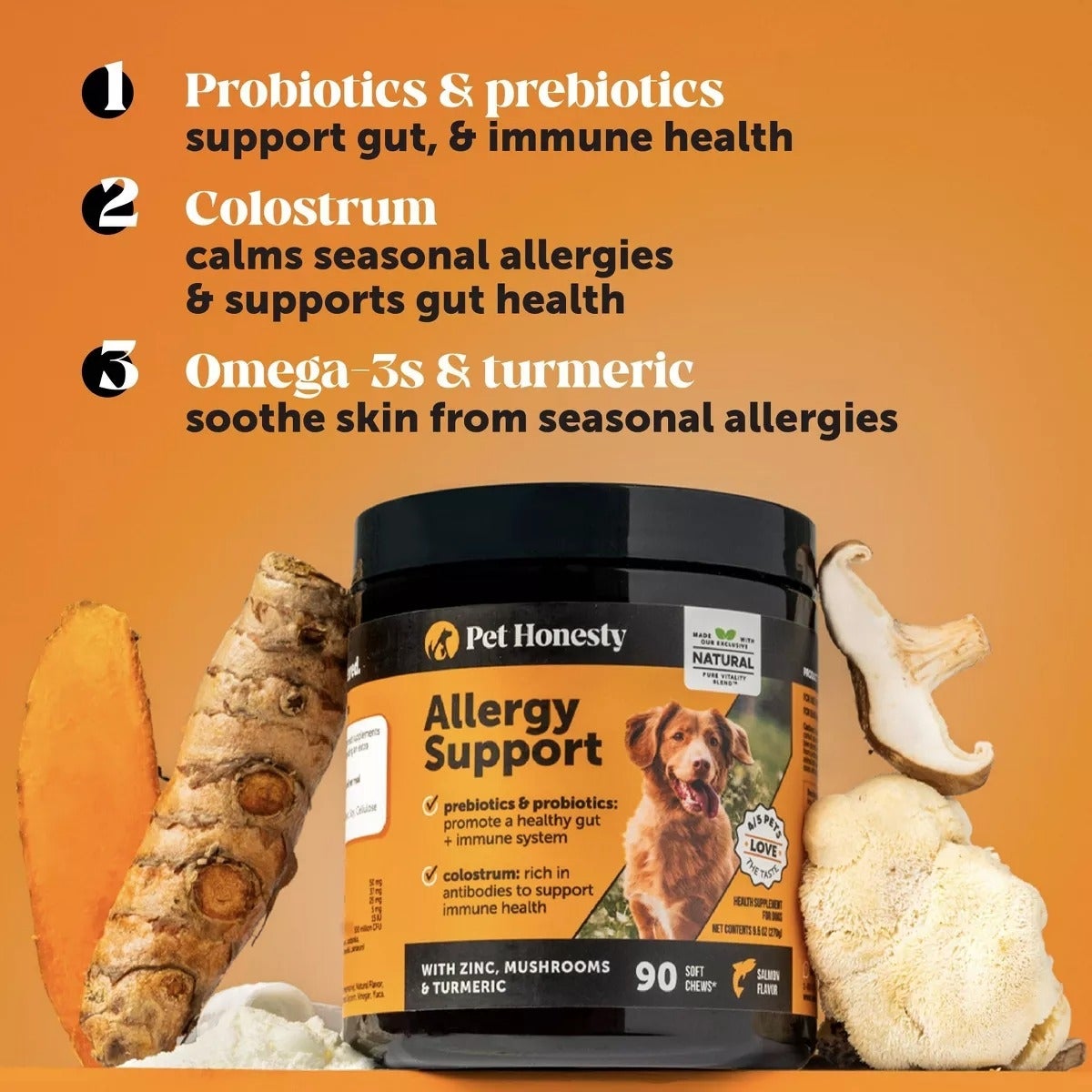 27 Chewy Products That'll Make Pet Parent Life Better