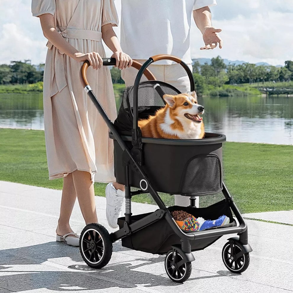 A dog comfortably sits in a pet stroller pushed by a couple near a lake, showcasing a practical pet accessory for outdoor activities
