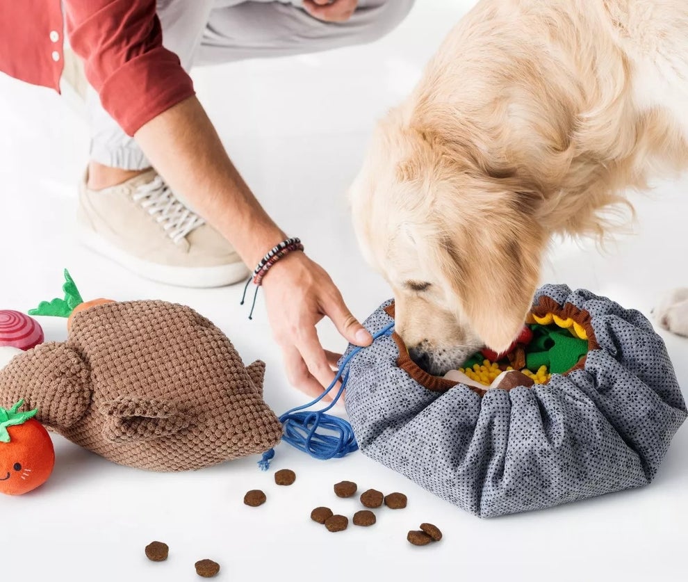 A person with a dog using interactive toys, including a treat bag. Text reads: "Dog Toys to Keep Them Busy."