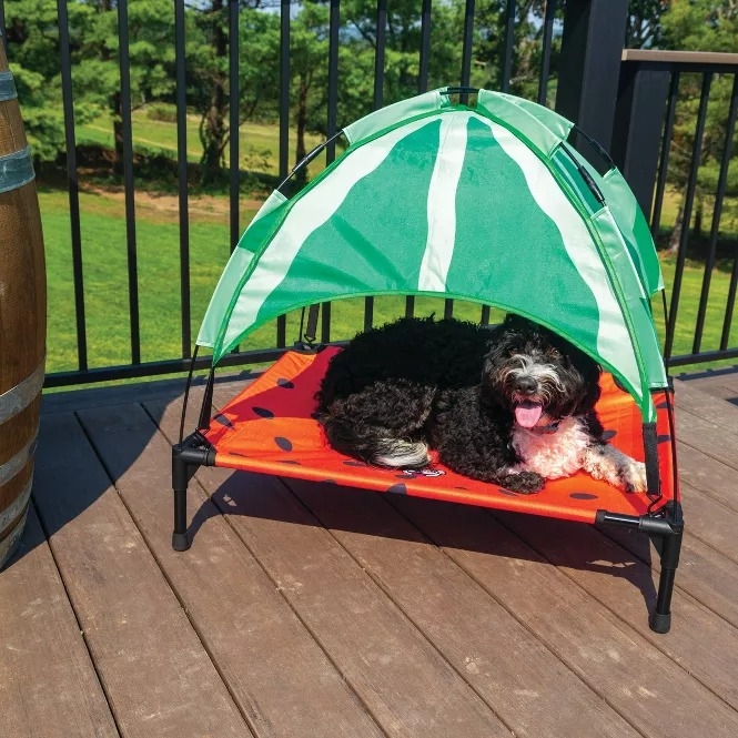 Dog relaxing in a small outdoor pet tent on a patio, featuring a canopy design resembling a watermelon