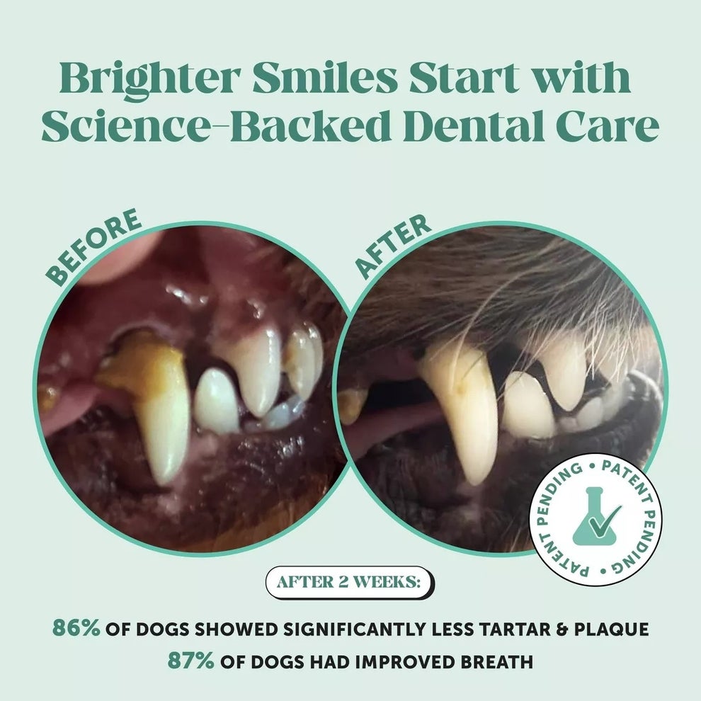 Before and after images of a dog's teeth showing reduced tartar and plaque after using a dental care product for two weeks