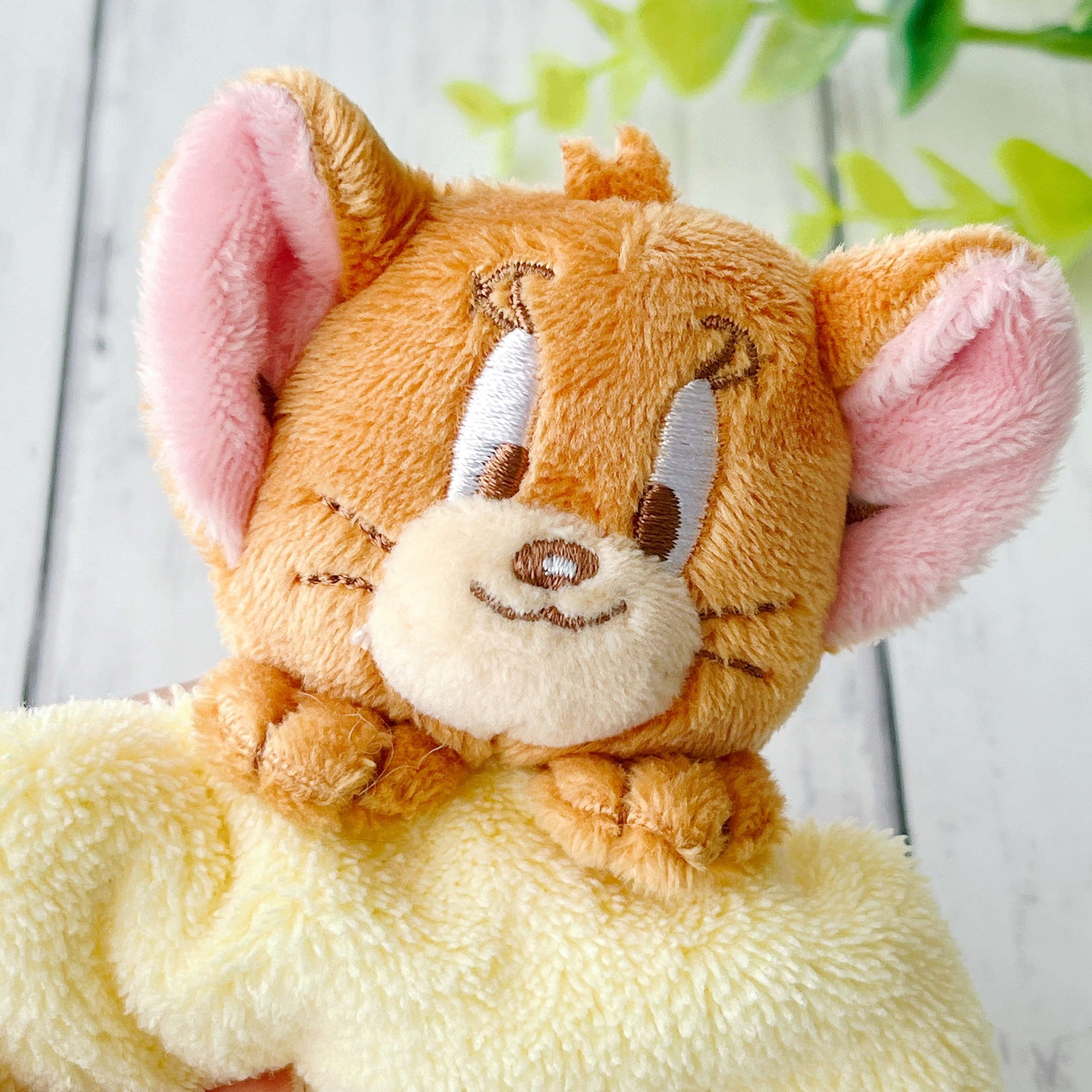 PLAZA(プラザ)で見つけた「TOM and JERRY トムとジェリー 吸水ヘアゴム」