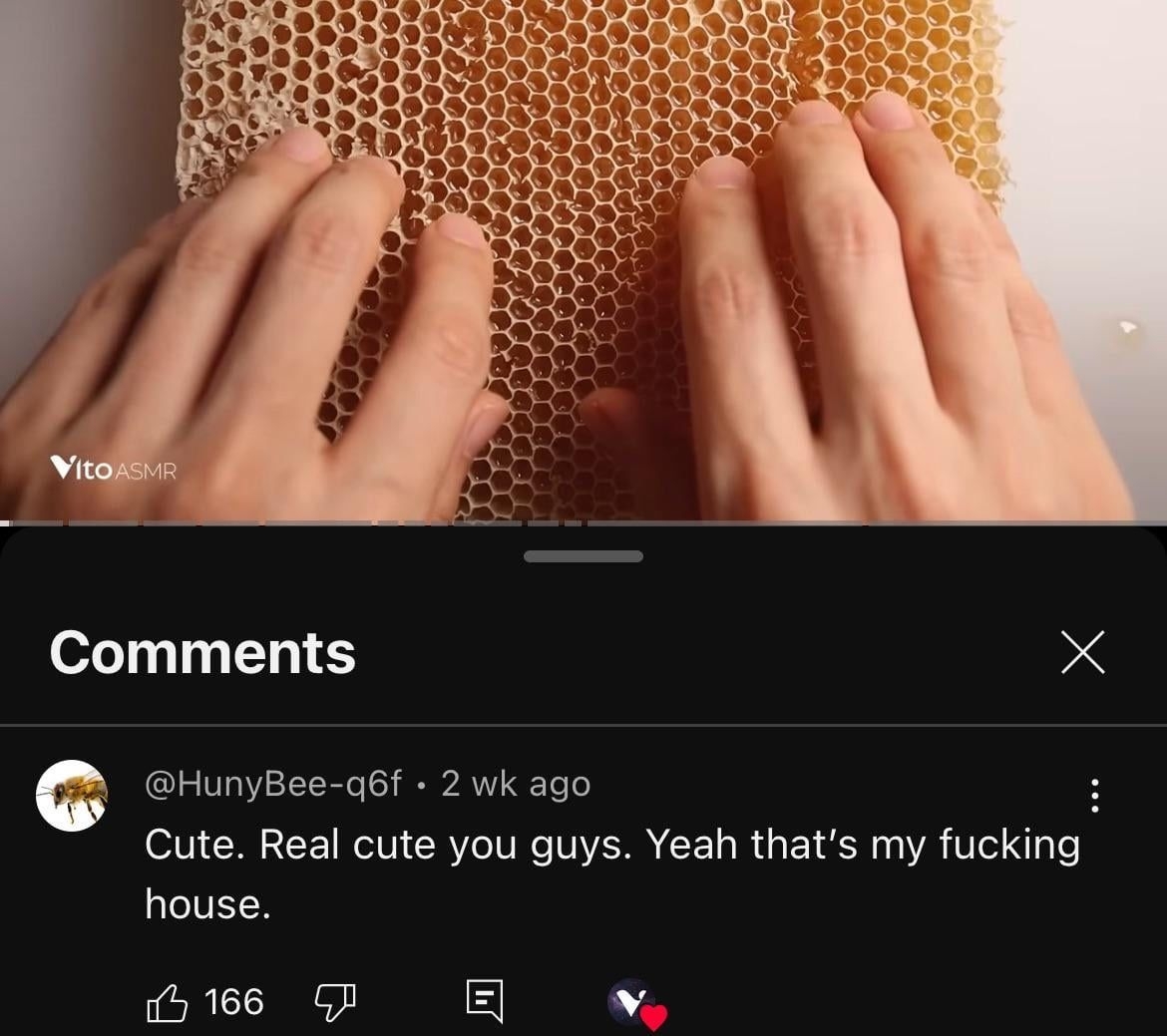Close-up of hands touching a honeycomb. A humorous comment below reads: "Cute. Real cute you guys. Yeah that’s my [expletive] house."