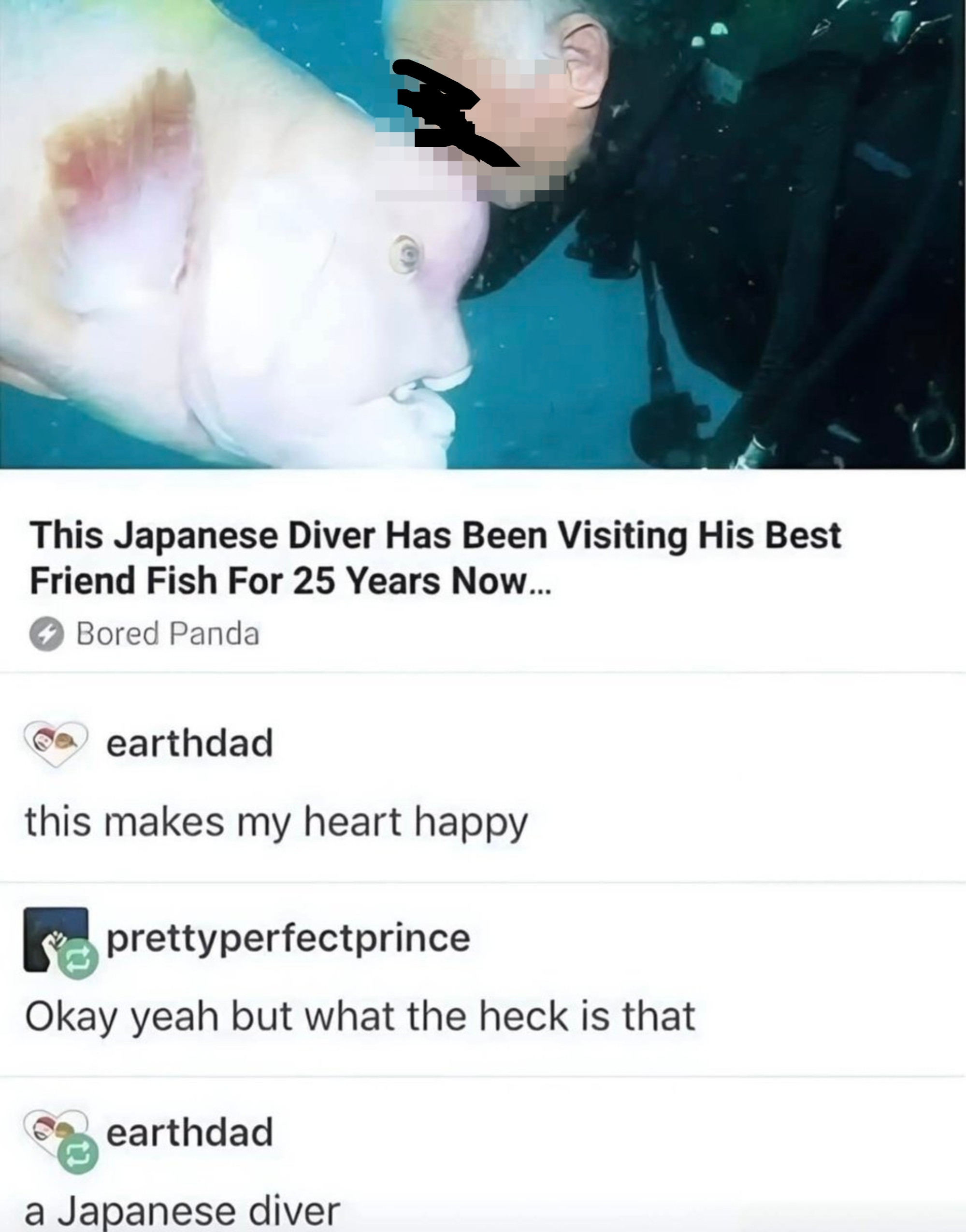 A diver interacts closely with a large fish. Text below discusses their 25-year friendship and users react with surprise and joy