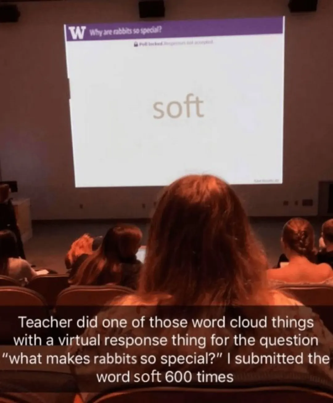 Classroom presentation shows a word cloud highlighting "soft" repeatedly; caption mentions submitting the word 600 times for a question about rabbits