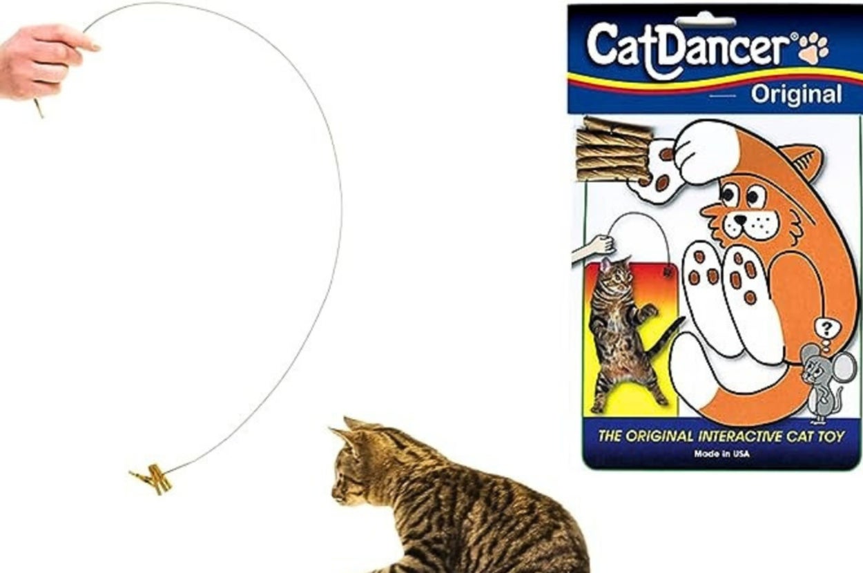 A cat jumps to catch a wire toy held by a hand. CatDancer Original packaging is visible in the background
