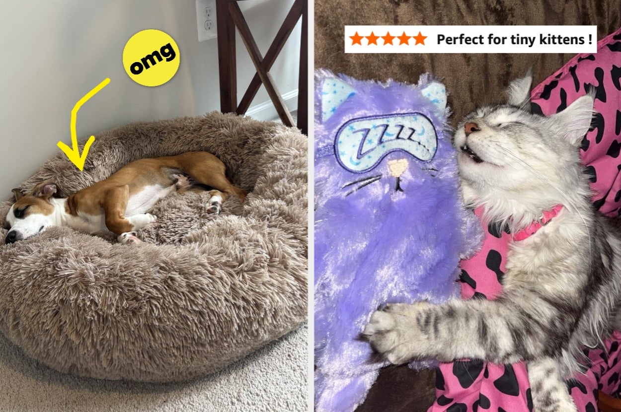 Left: Dog napping on a plush bed with "omg" text and an arrow pointing at the dog. Right: Cat cuddling a purple stuffed cat. Review text with five stars: "Perfect for tiny kittens!"